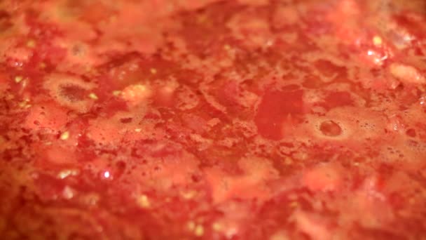 Cocinar deliciosa salsa de tomate — Vídeos de Stock