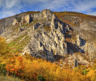Renkli sonbahar orman ile dağ manzara