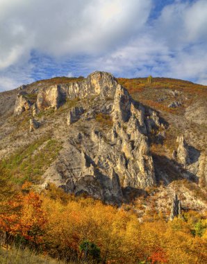 Renkli sonbahar orman ile dağ manzara
