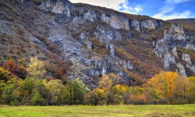 Renkli sonbahar orman ile dağ manzara