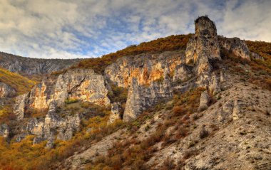 Renkli sonbahar orman ile dağ manzara