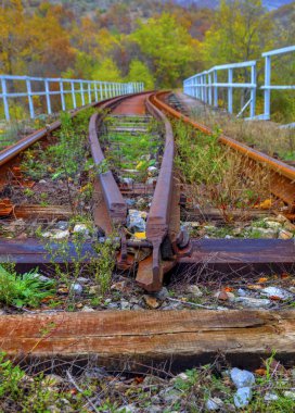 demiryolu parça portre