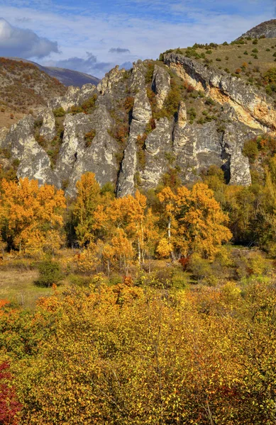 Paysage en montagne avec forêt d'automne colorée — Photo