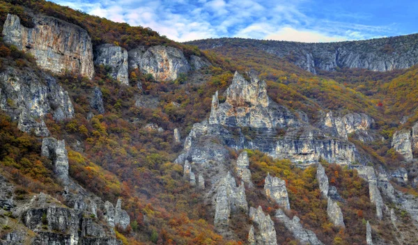 Renkli sonbahar orman ile dağ manzara — Stok fotoğraf