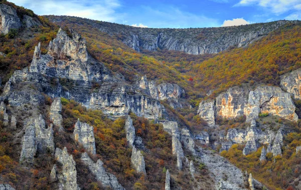 Renkli sonbahar orman ile dağ manzara