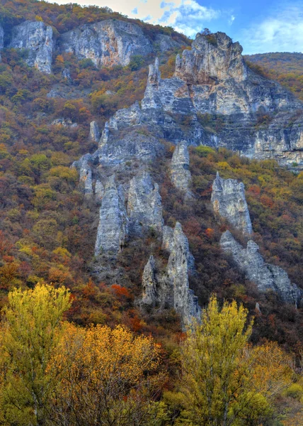 在山与多彩的秋天森林景观 — 图库照片