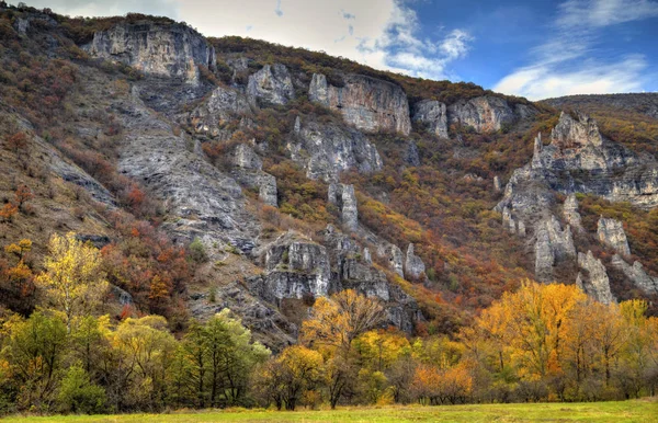 Renkli sonbahar orman ile dağ manzara — Stok fotoğraf
