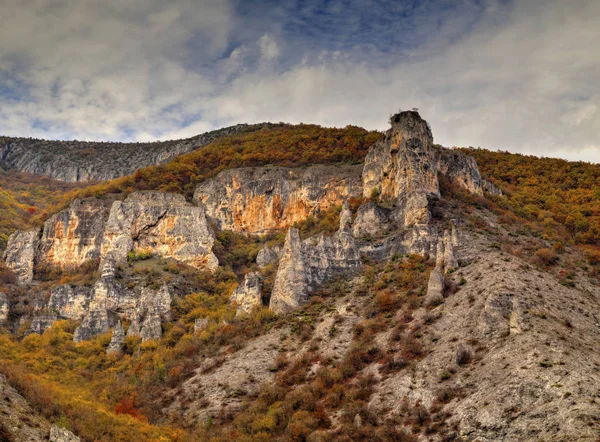 Landschap in de bergen met kleurrijke herfst bos — Stockfoto