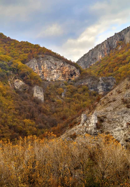 Пейзаж в горах з барвистим осіннім лісом — стокове фото