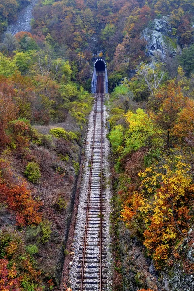 Tunnel ferroviaire dans la montagne — Photo