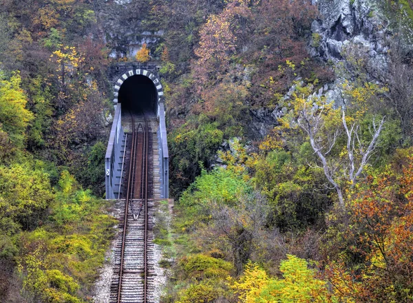 Tunnel ferroviaire dans la montagne — Photo