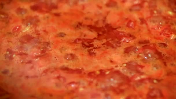 Cottura deliziosa salsa di pomodoro — Video Stock