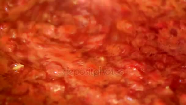 Vaření chutné rajčatová omáčka — Stock video