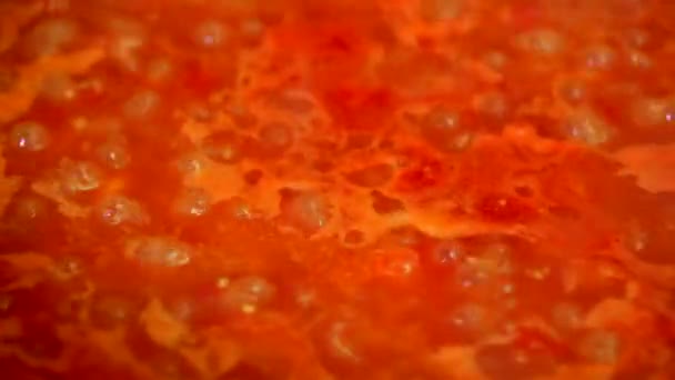 Het koken van heerlijke tomatensaus — Stockvideo