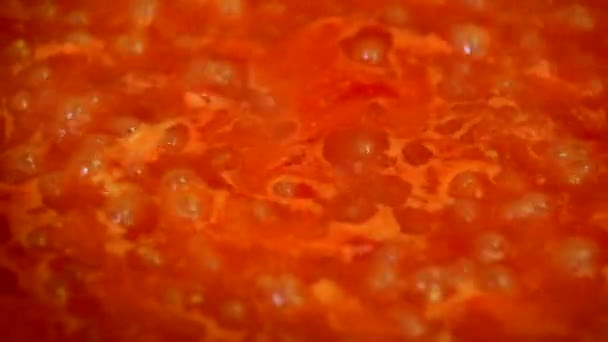 Cozinhar delicioso molho de tomate — Vídeo de Stock