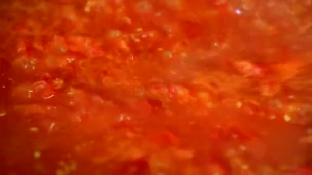 おいしいトマトソースの料理 — ストック動画