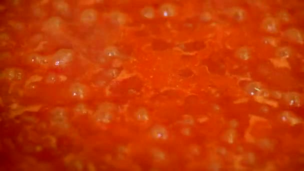Yemek lezzetli domates sosu — Stok video
