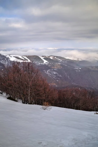 Paysage de montagne d'hiver — Photo