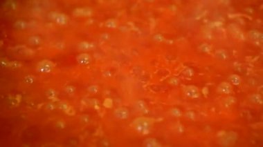 Yemek lezzetli domates sosu