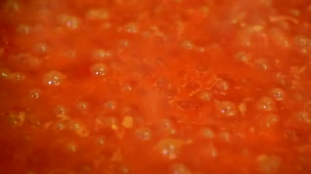 Kochen köstliche Tomatensauce — Stockvideo