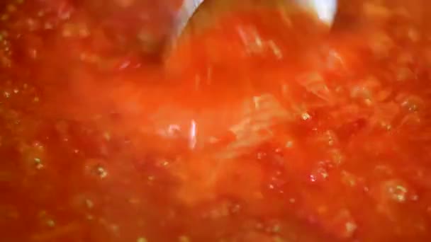 Cooking delicious tomato sauce — Stock Video
