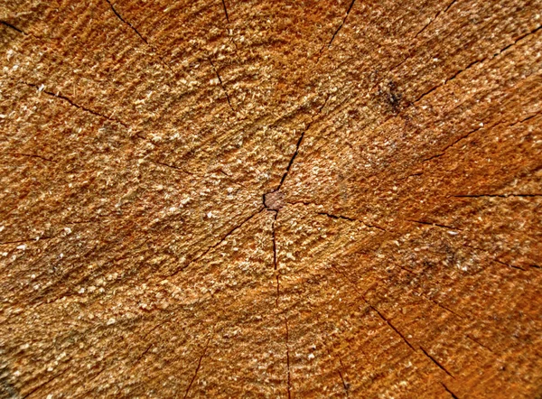 Textura de madera colorida — Foto de Stock