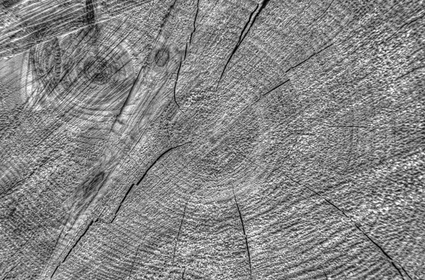 Wooden texture in black and white — Stock Photo, Image