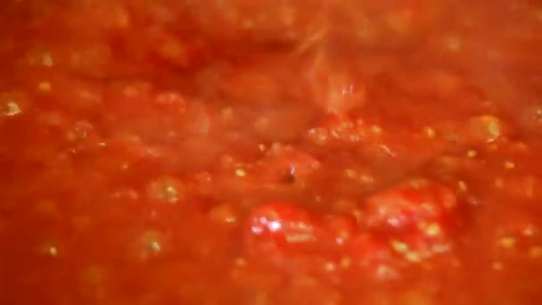 Cuisson délicieuse sauce tomate — Video