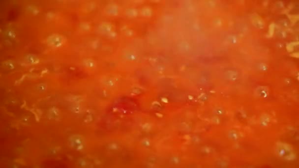 Cocinar deliciosa salsa de tomate — Vídeo de stock
