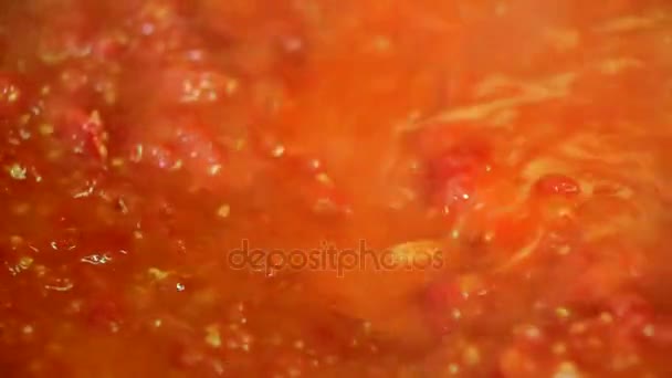 Cooking delicious tomato sauce — Stock Video
