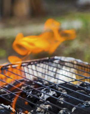 Alevler Barbekü portre üzerinde yanan