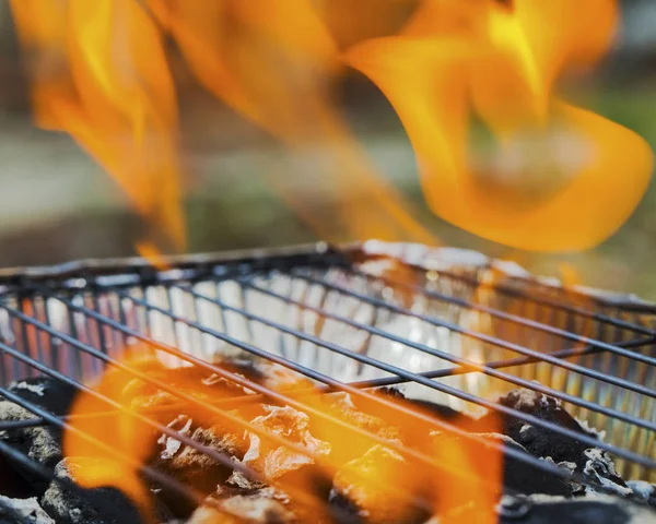 Llamas Ardientes Sobre Barbacoa Primer Plano — Foto de Stock