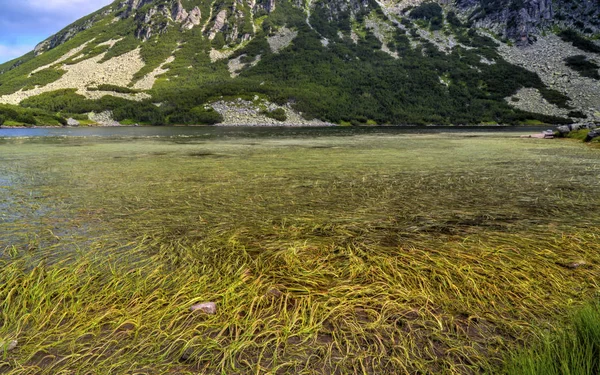 Schöne Landschaft Mit See Und Grünem Gras Den Bergen — Stockfoto