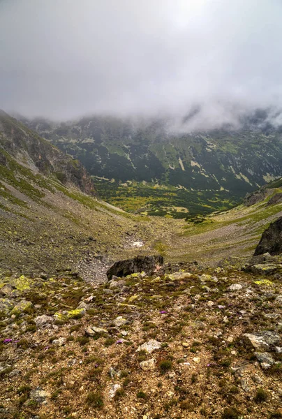 Bela Paisagem Montanha Alta — Fotografia de Stock