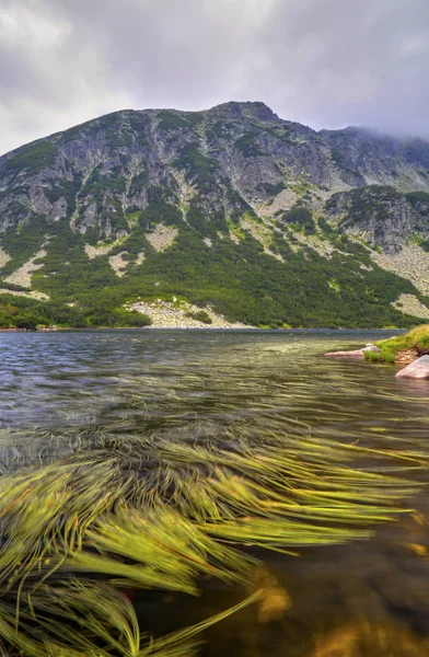 Hermoso Paisaje Con Lago Hierba Verde Montaña —  Fotos de Stock
