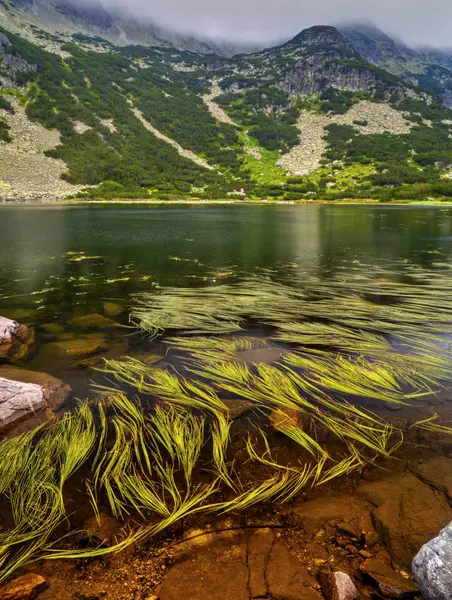 Hermoso Paisaje Con Lago Montaña —  Fotos de Stock