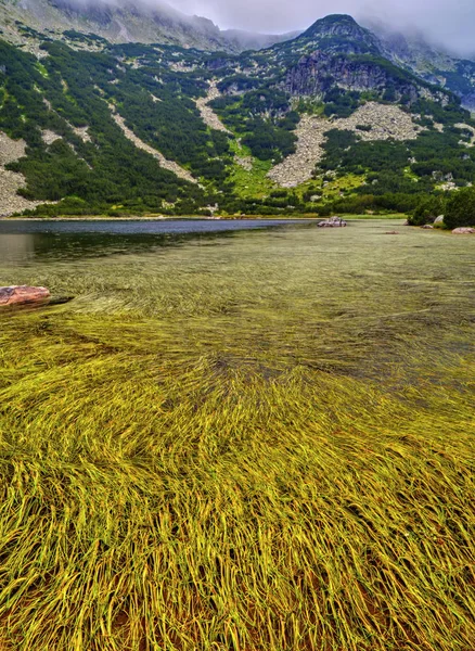 Beautiful Landscape Lake Mountain — Stock Photo, Image