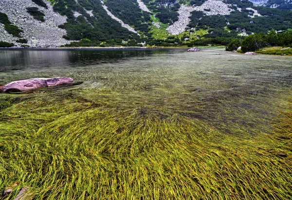 Hermoso Paisaje Con Lago Montaña — Foto de Stock