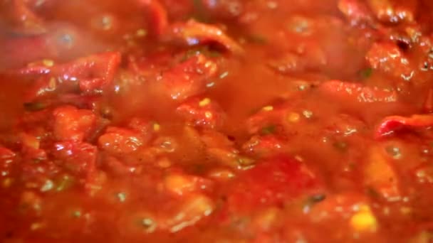 Kochen Von Frischem Gemüse Tomaten Und Paprika Nahaufnahme — Stockvideo