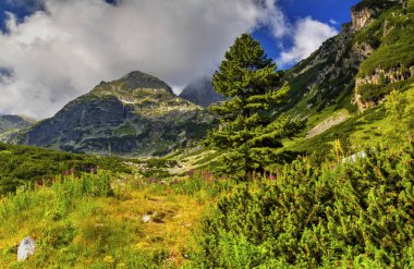 Yüksek dağ güzel manzara