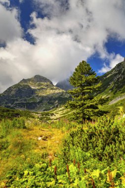 Yüksek dağ güzel manzara