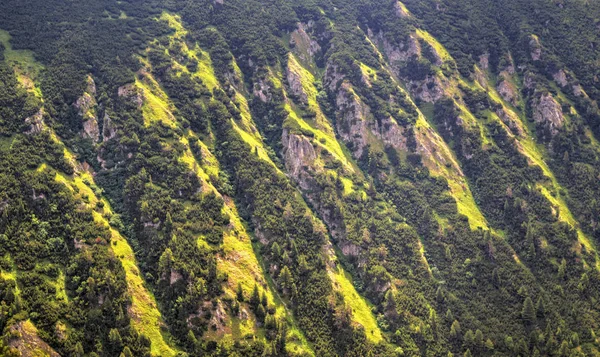 Bela Paisagem Montanha Alta — Fotografia de Stock