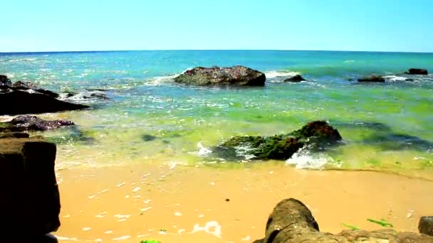 Bela Vista Com Rochas Ondas Mar Uma Praia Ensolarada — Vídeo de Stock