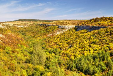 Mavi gökyüzü ve renkli ağaçlarla güzel sonbahar manzarası