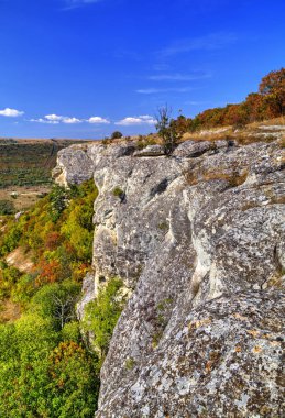 Mavi gökyüzü ve renkli ağaçlarla güzel sonbahar manzarası