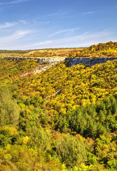 Krásná Podzimní Krajina Modrou Oblohou Barevnými Stromy — Stock fotografie