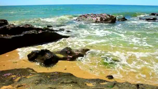 Bela Vista Com Rochas Ondas Mar Uma Praia Ensolarada — Vídeo de Stock