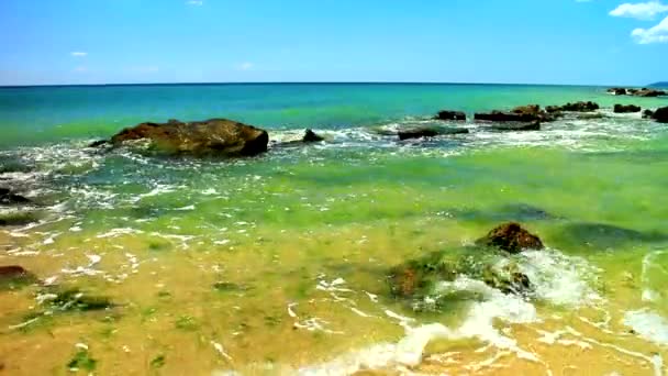 美丽的风景 阳光普照的海滩上的岩石和海浪 — 图库视频影像