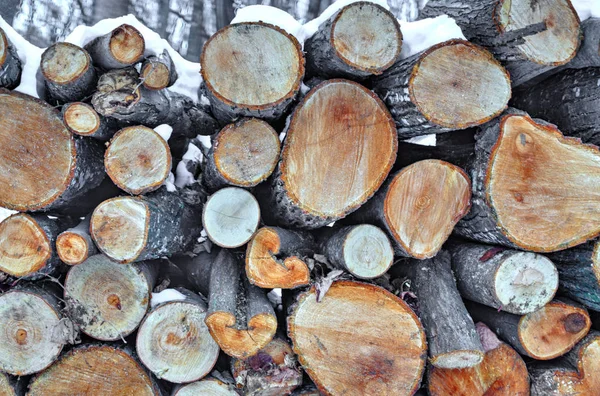 Background Fresh Cut Timber Winter Forest — Stock Photo, Image