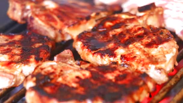 Grilling Fresh Meat Barbecue Close View — Stock Video